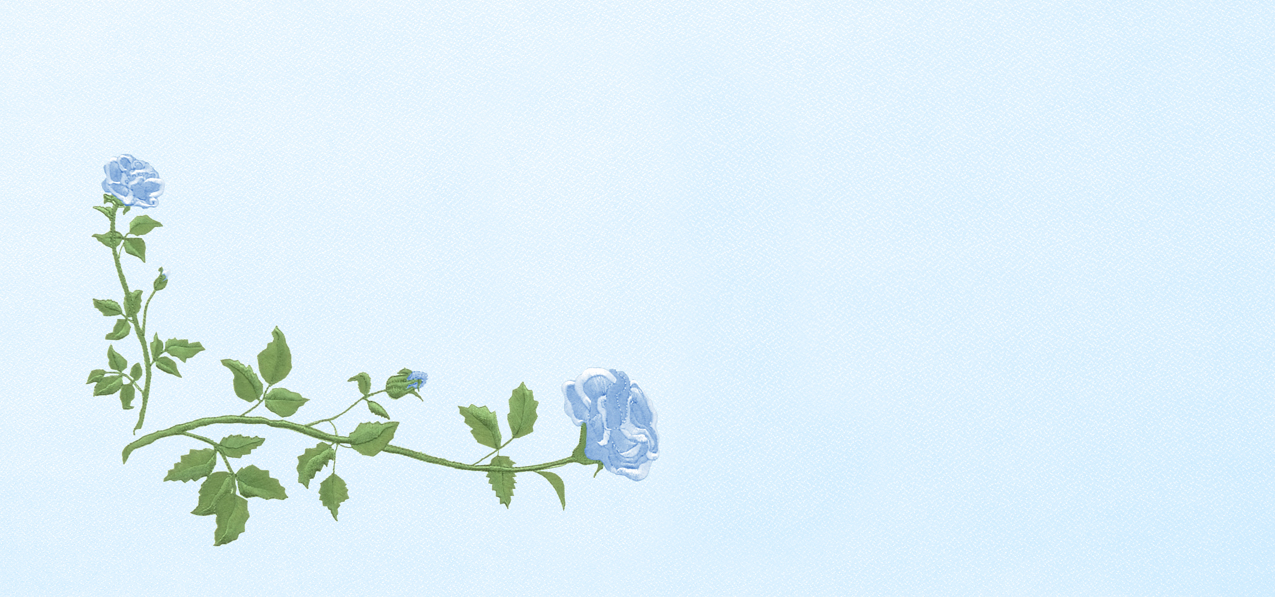 Corner Rose Blue-Blue Faux